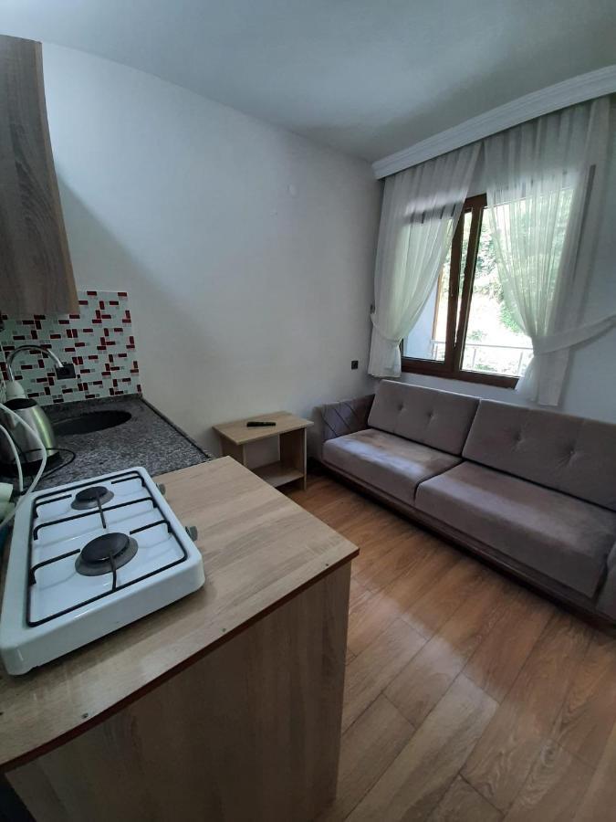 Elegant Residence Çamlıhemşin Exteriér fotografie